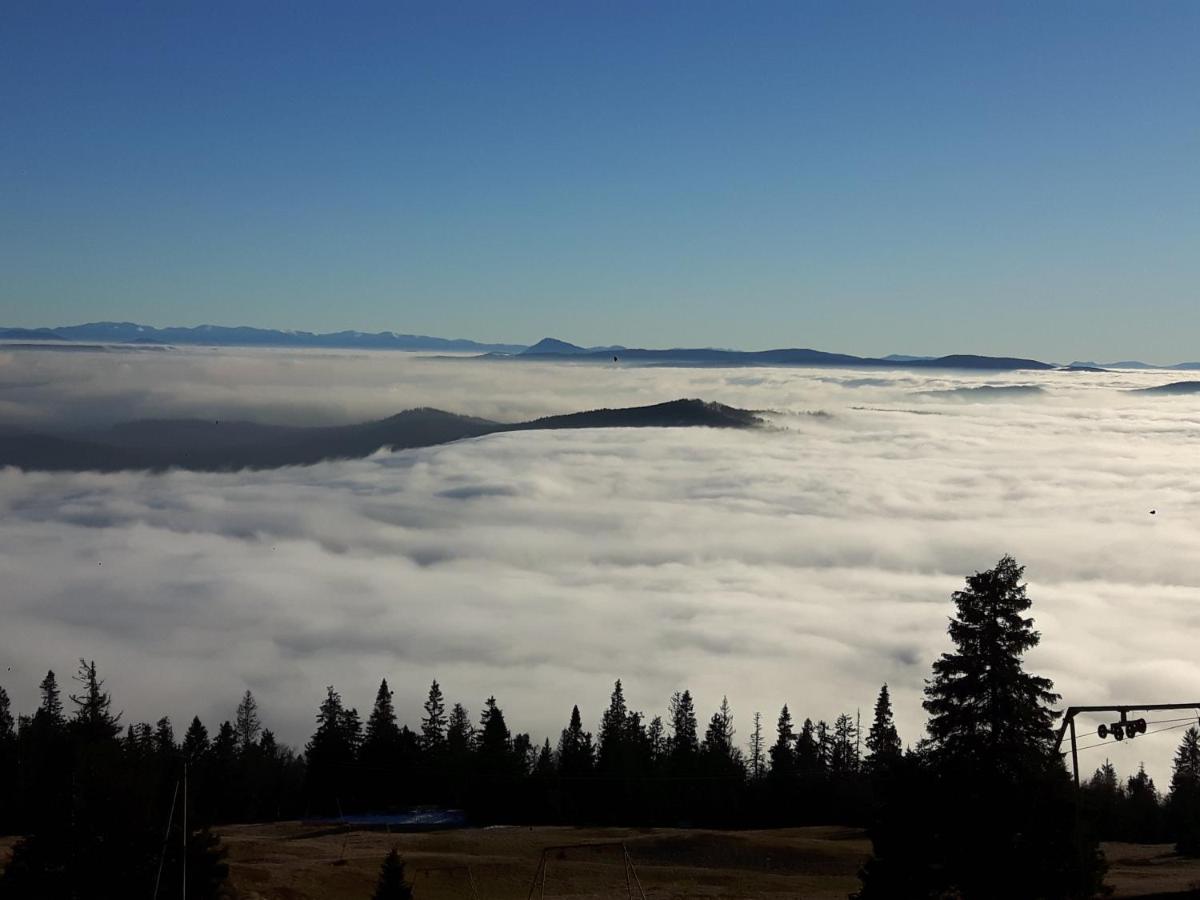 Villa Eva & Lilou Pod Rysianka Zabnica Esterno foto