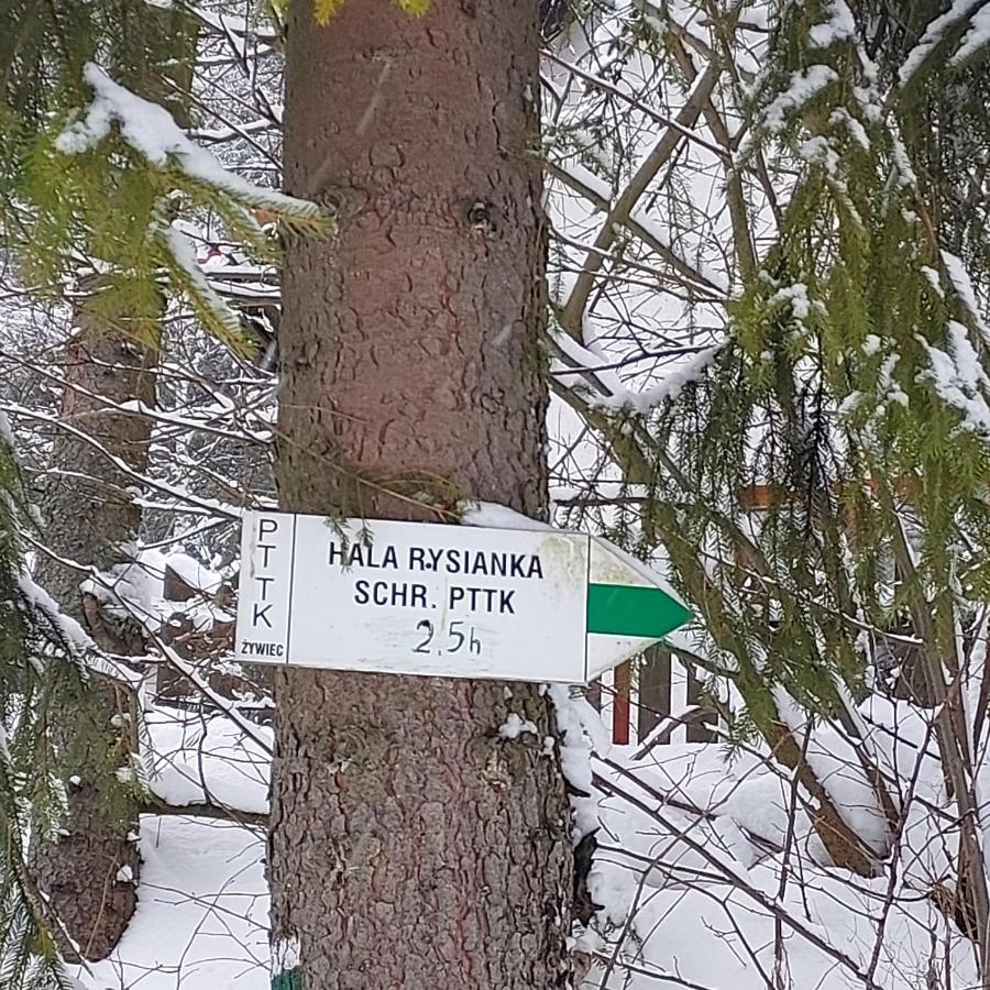 Villa Eva & Lilou Pod Rysianka Zabnica Esterno foto