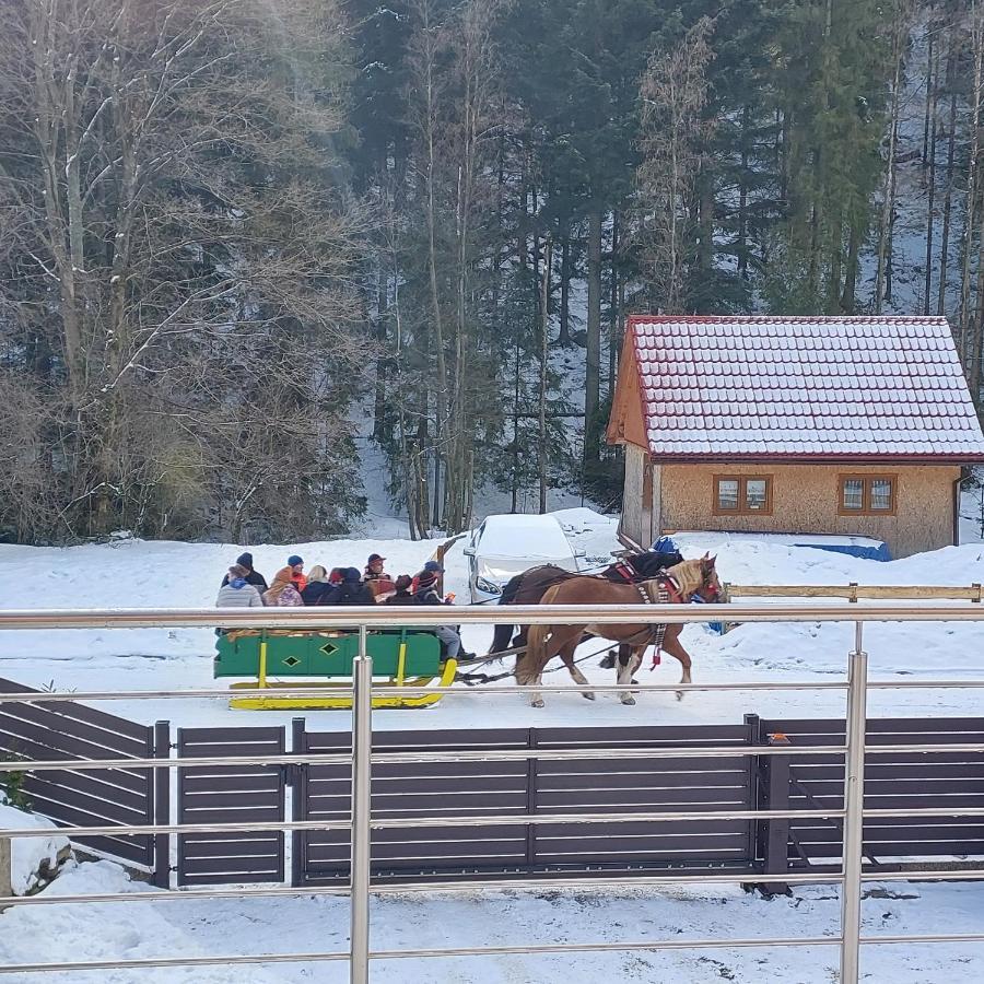 Villa Eva & Lilou Pod Rysianka Zabnica Esterno foto
