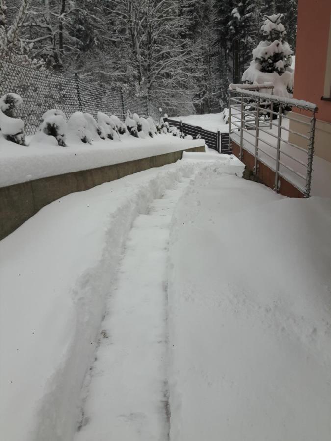 Villa Eva & Lilou Pod Rysianka Zabnica Esterno foto
